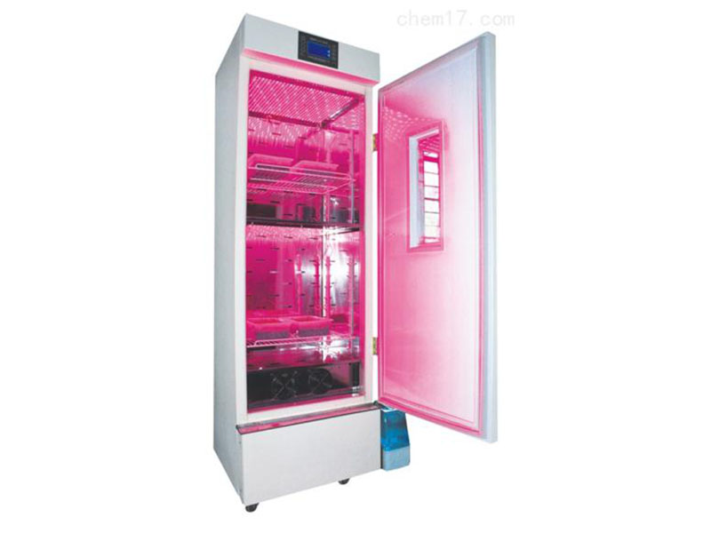 ���������ֲ��������